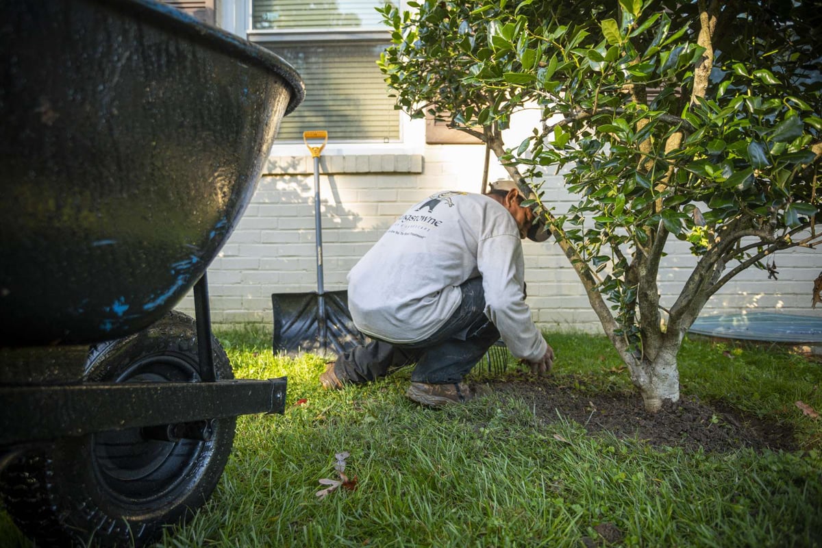 landscape maintenance team weeds bed near tree