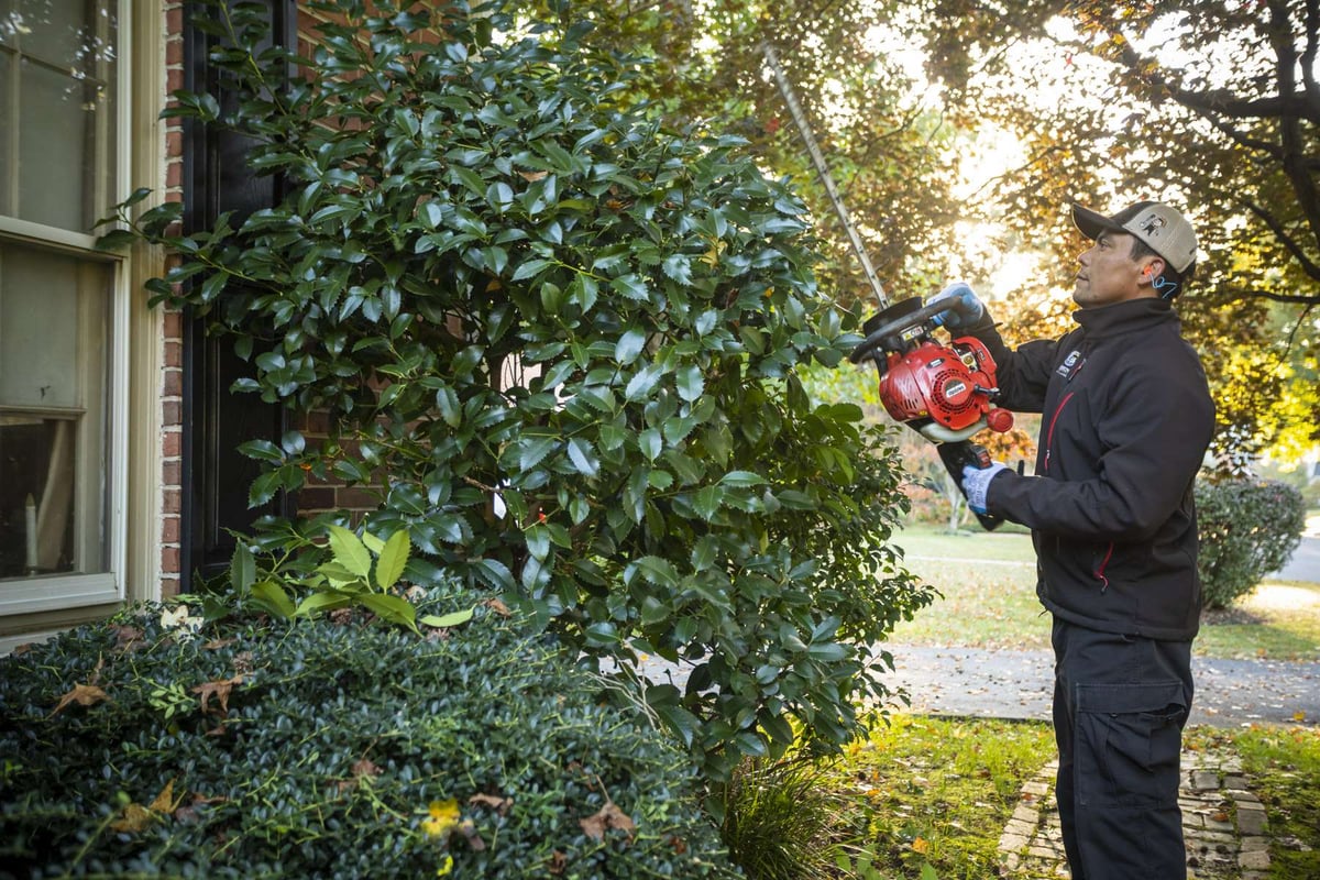 landscape maintenance team trims shrubs