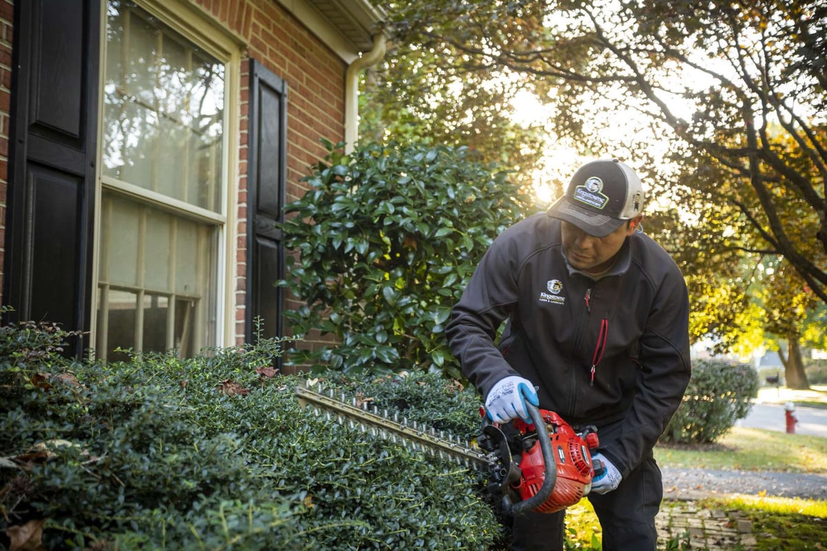 landscape maintenance team trims shrubs