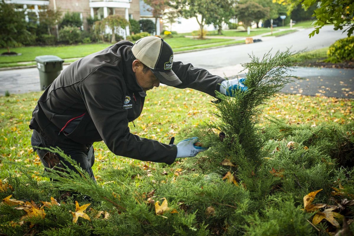 maintenance team member prunes shrub