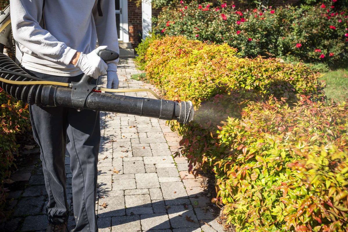 pest control technician sprays bushes for mosquitoes