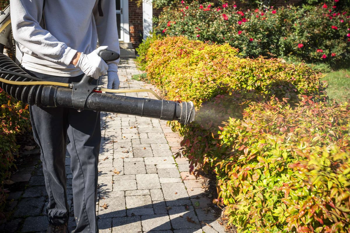 pest control technician sprays for mosquitos