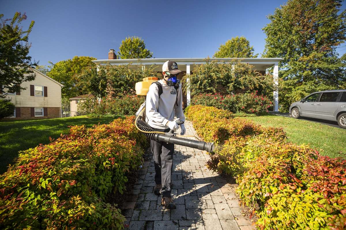 Lawn care technician spraying mosquito control