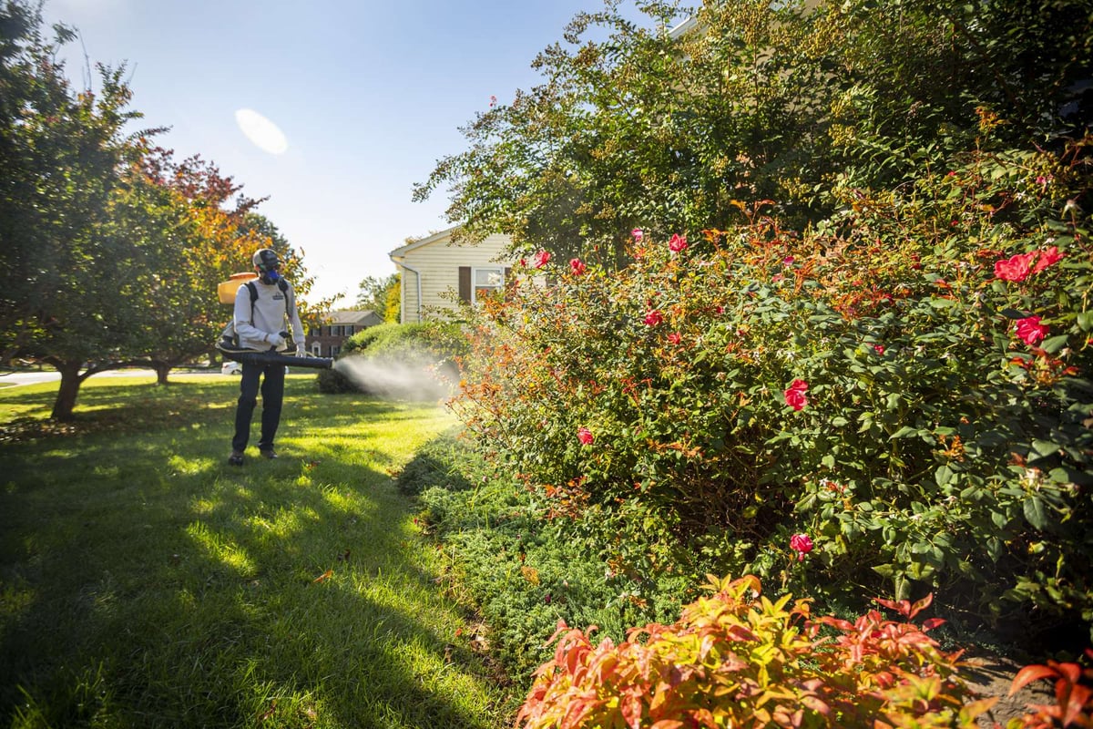 pest control team sprays for ticks