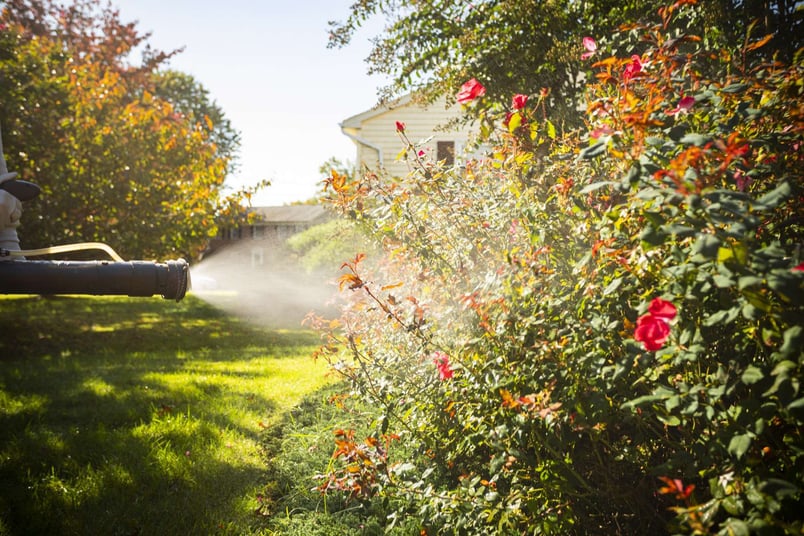 Kingstowne landscape maintenance technician team mosquito control 9