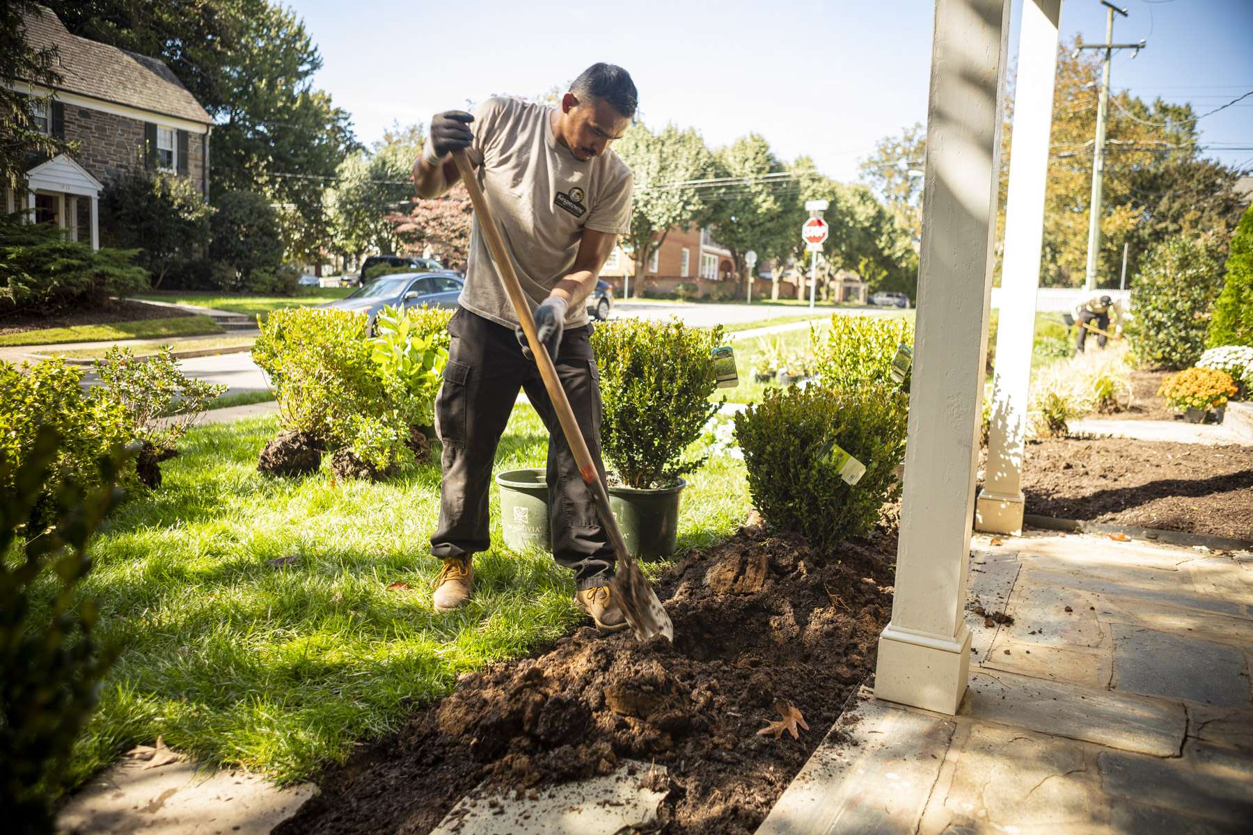 landscape technician planting shrubs in front of a patio