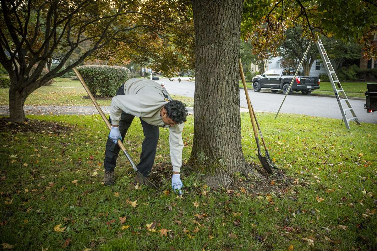 lawn care technician cleans up leaves