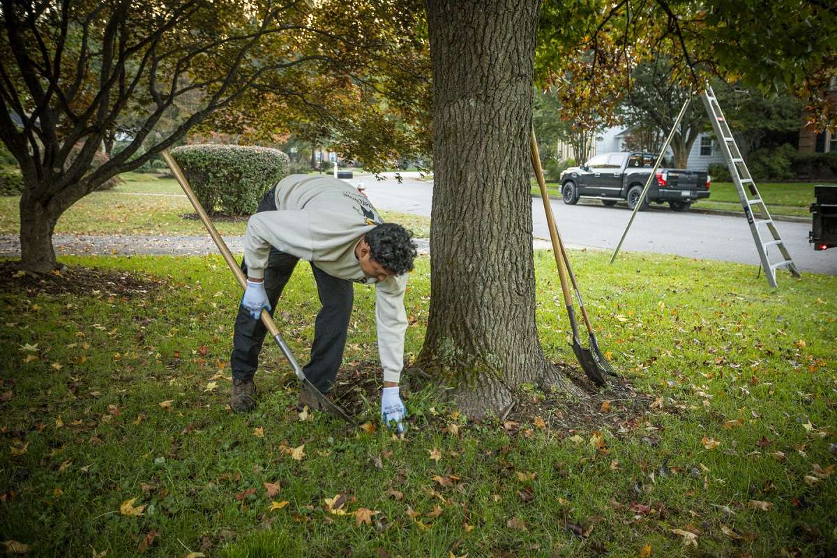 lawn care technician raking leaves