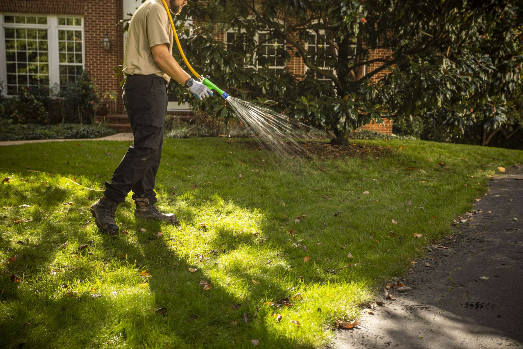 Lawn care technician spraying weed control