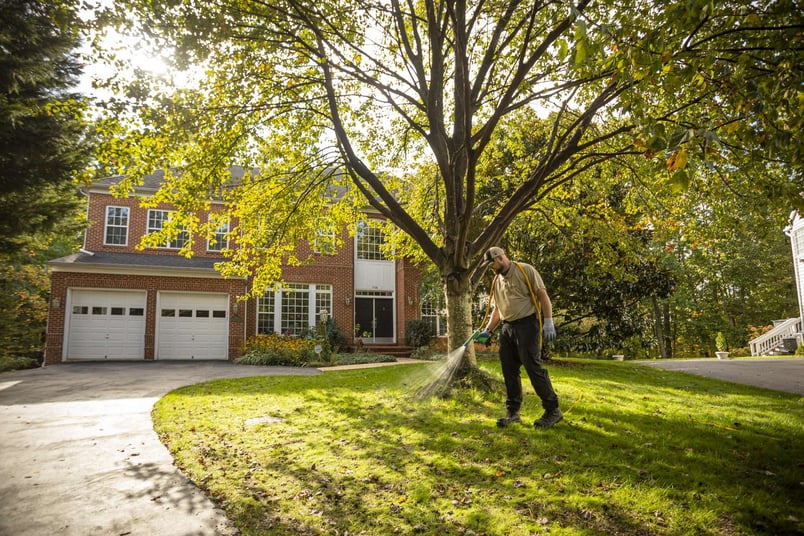 lawn tech spraying for insects