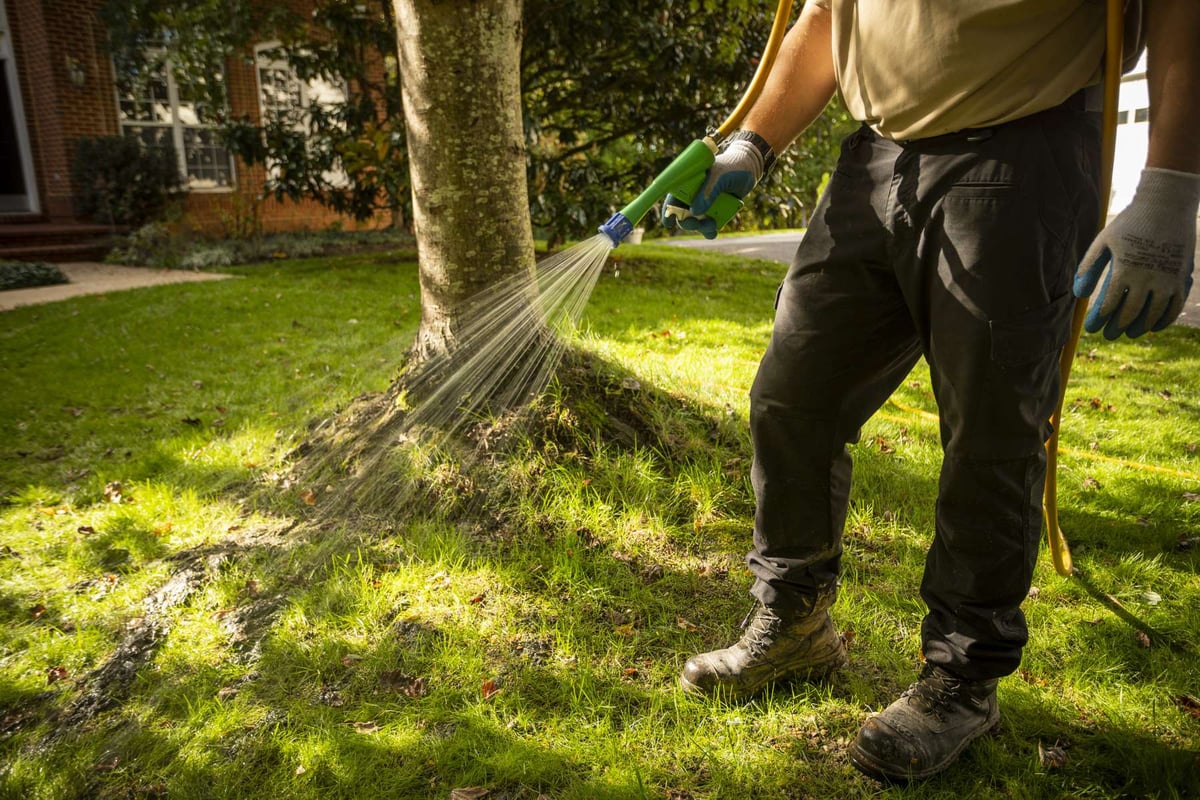 lawn care technician sprays pre-emergent weed control on lawn