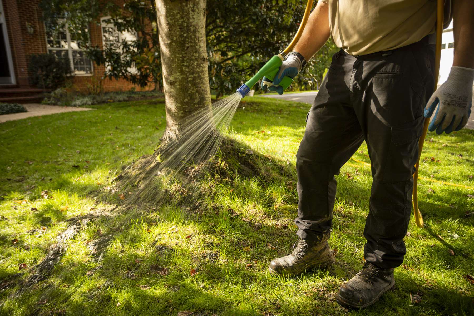 Kingstowne lawn care technician spraying weed control