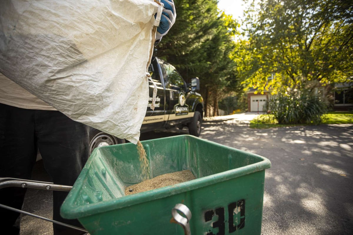 lawn care expert pours grass seed into spreader