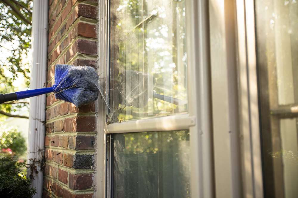 Pest control technician performing web wiping