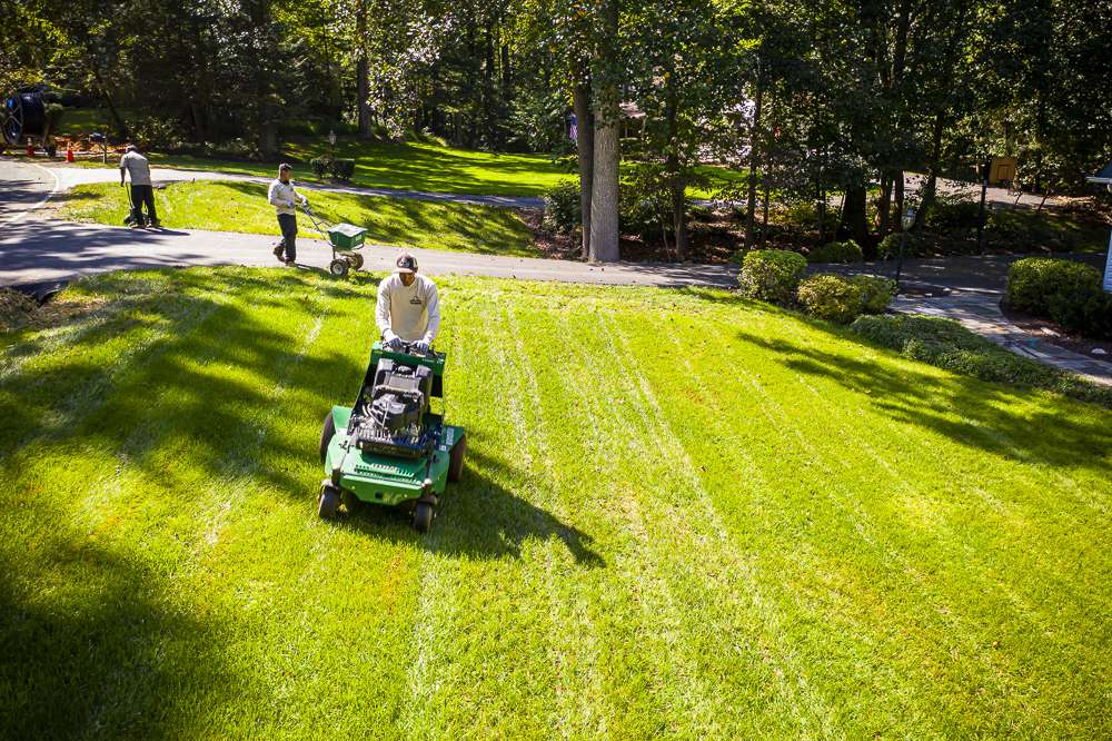 lawn care team aerates and overseeds lawn