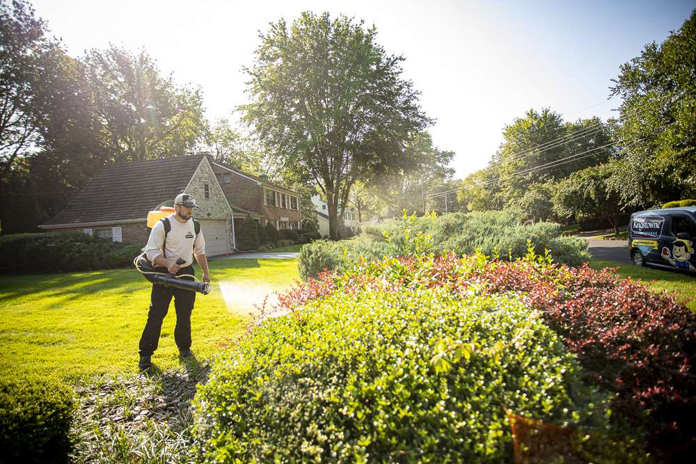 pest control technician sprays bushes for mosquitos