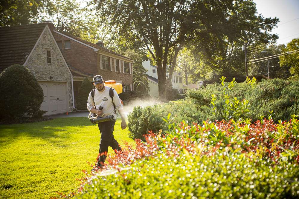 pest control technician sprays yard for fleas