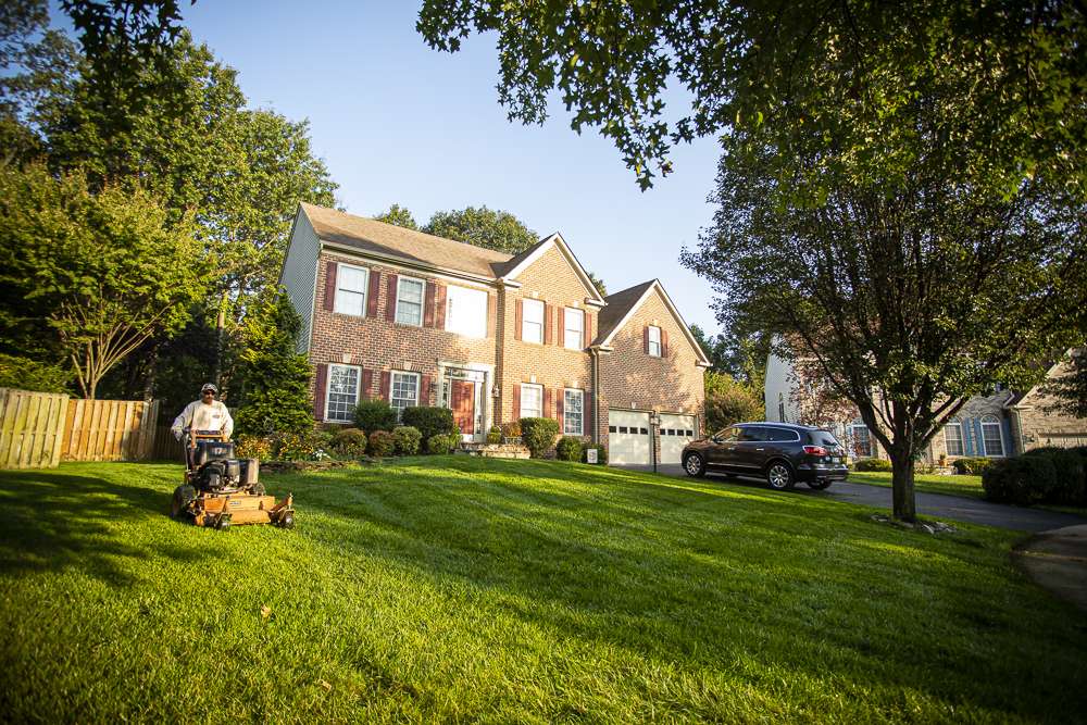 nicely mowed front yard