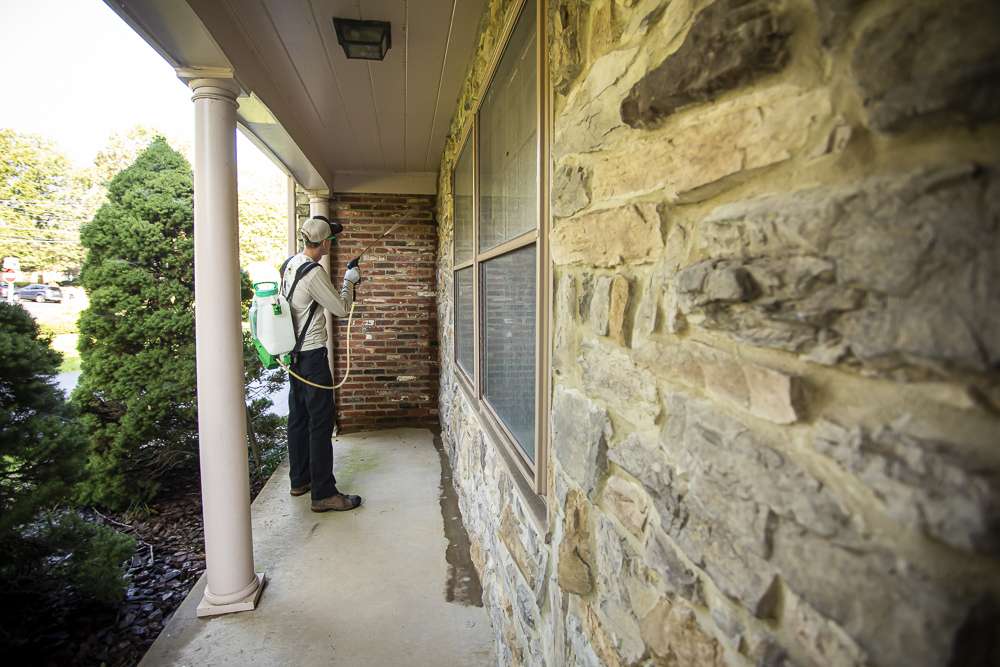 pest control expert spraying on porch