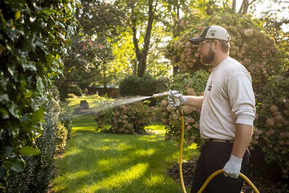 Kingstowne team technician plant health care spraying 6