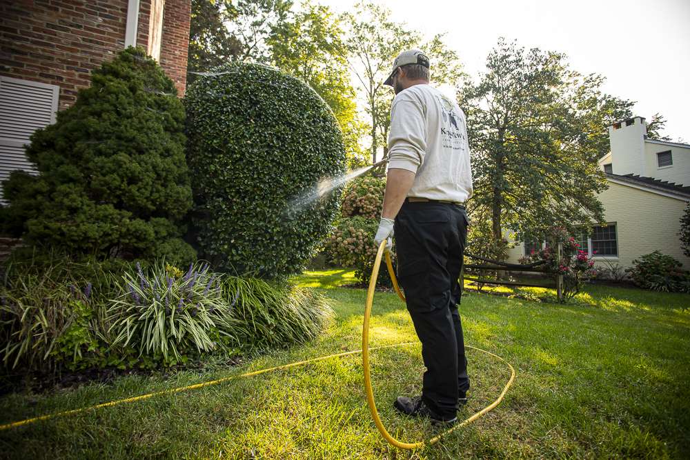 Plant health care spraying