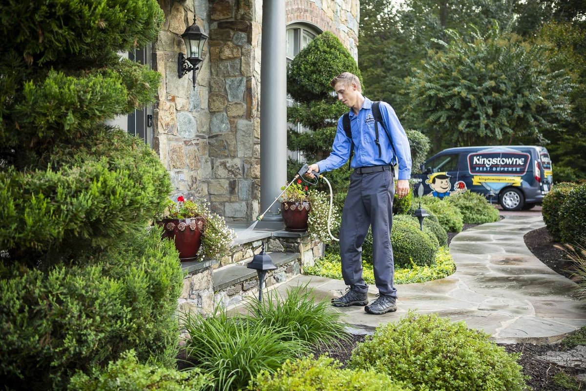 pest control technician sprays near entrance of home