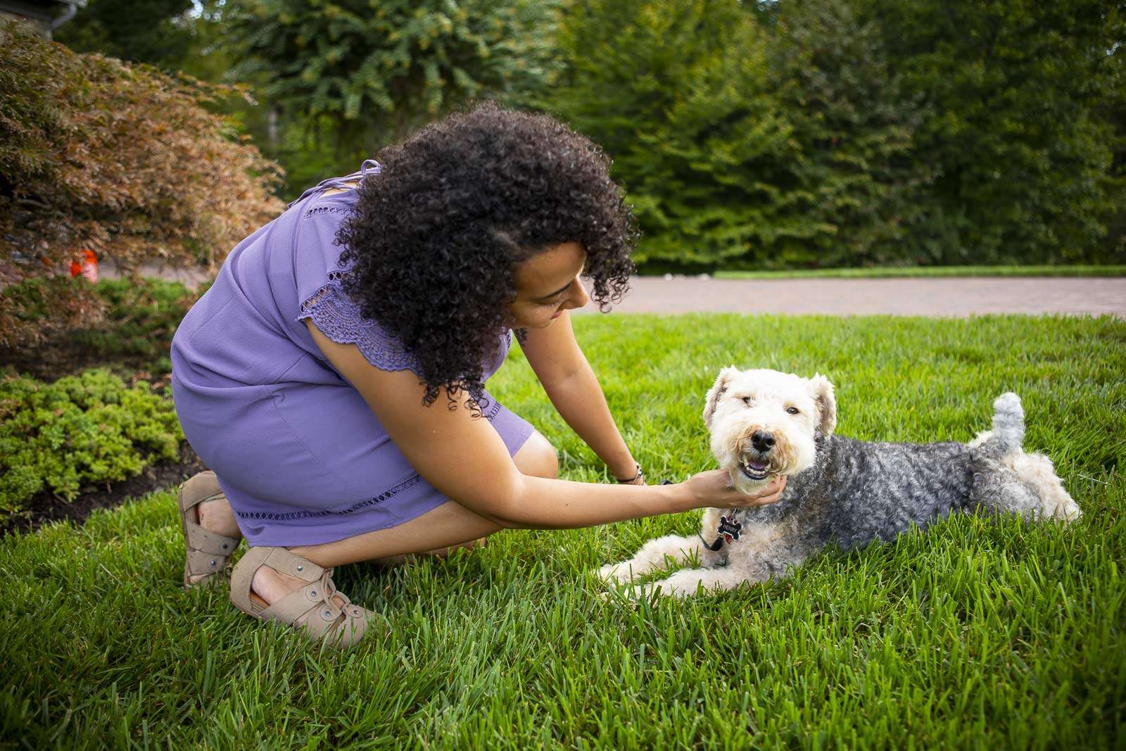 dog in lawn with flea and tick control