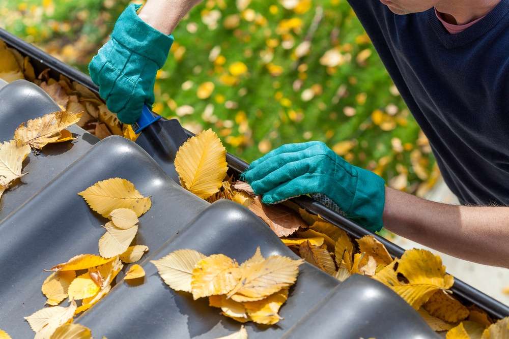 Man cleaning leaves out of the gutter