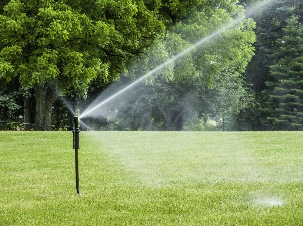tall sprinkler waters grass