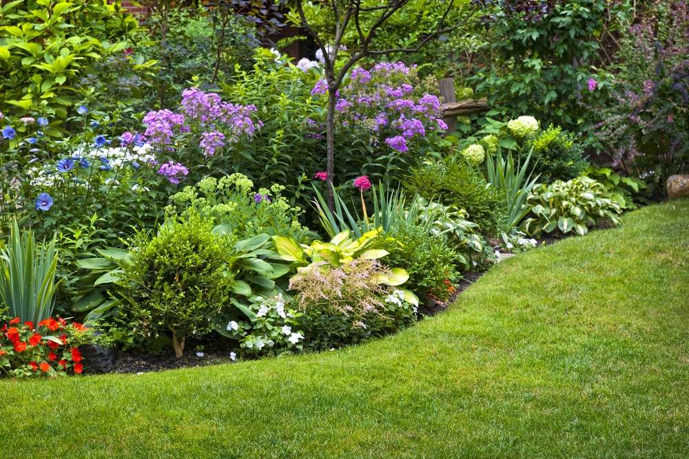 layered plants in landscaping, flowers, trees, and shrubs