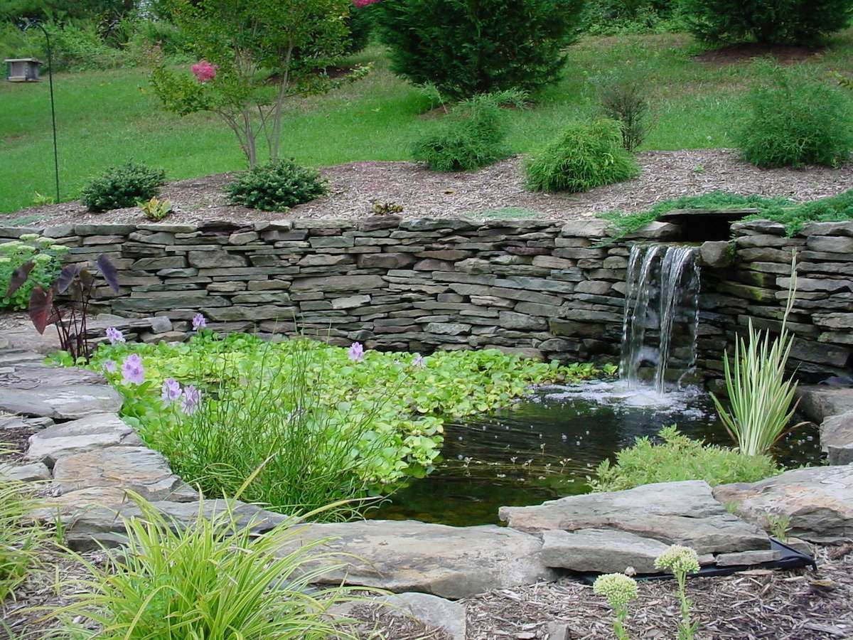 fish pond backyard water feature with waterfall
