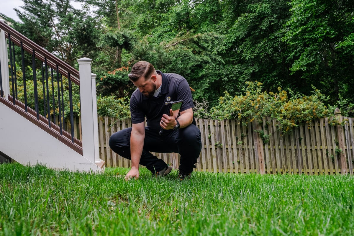 Account-manager-inspecting-lawn