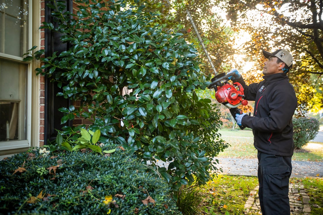 Kingstowne landscape maintenance team shrub pruning fall cleanup hedge trimmer equipment 2