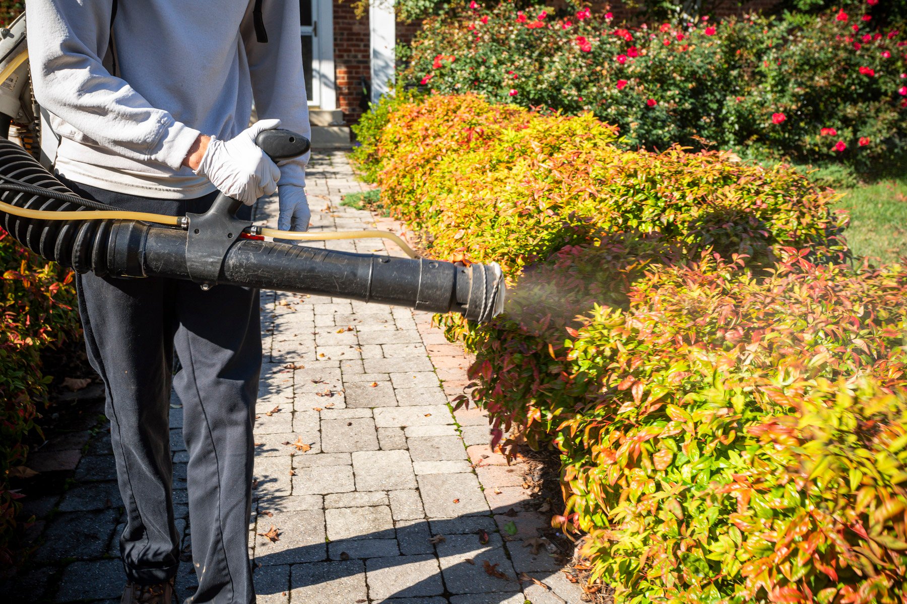 pest control technician apply mosquito barrier spray to landscape planting beds