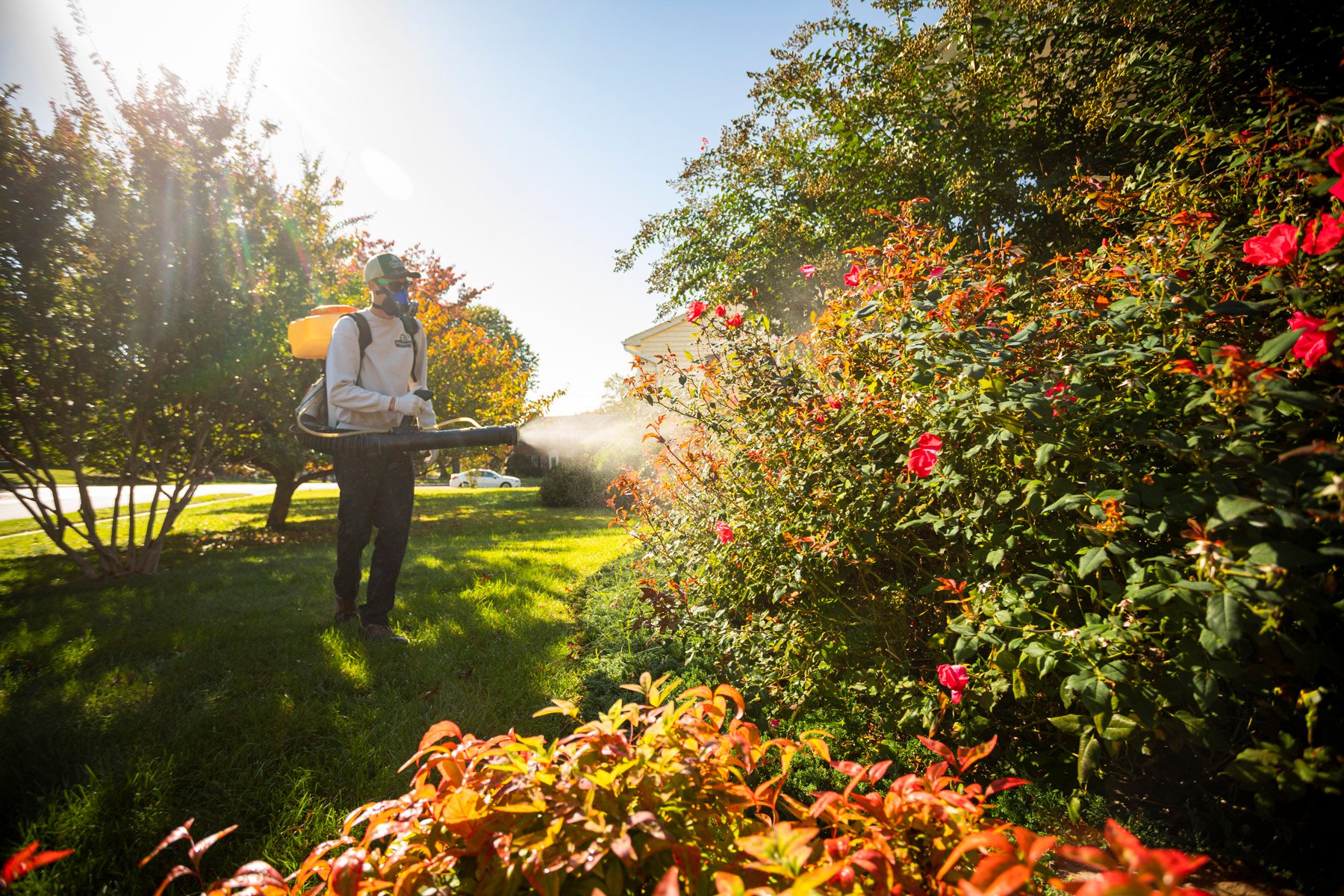 Kingstowne landscape maintenance technician team mosquito control 8