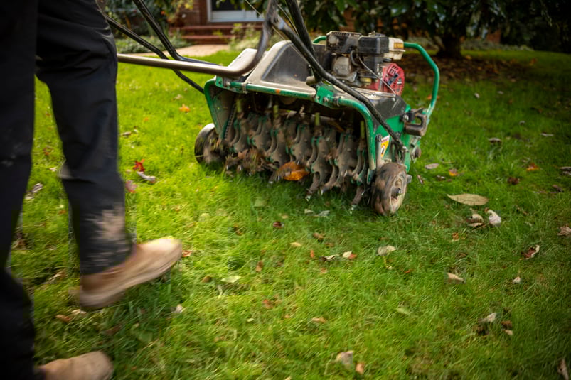 Kingstowne lawn technician team lawn aeration 3