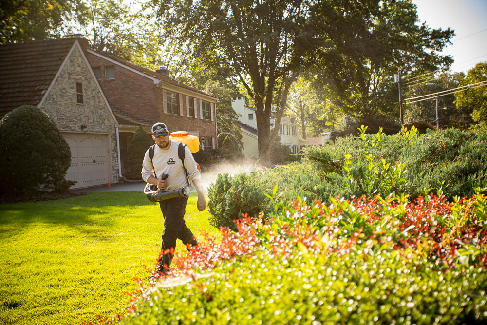 pest control technician applying mosquito barrier spray to landscape planting beds