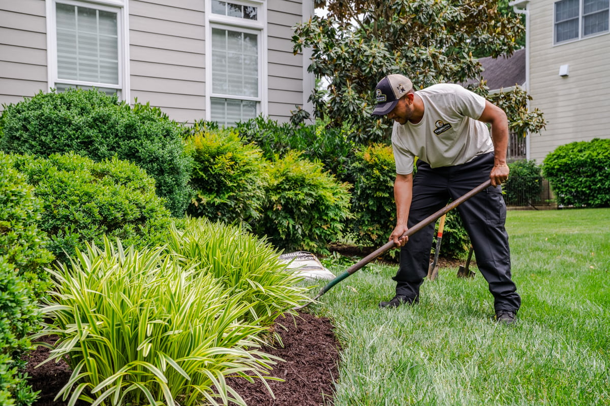 landscape maintenance technician spreading mulch in a perennial planting bed