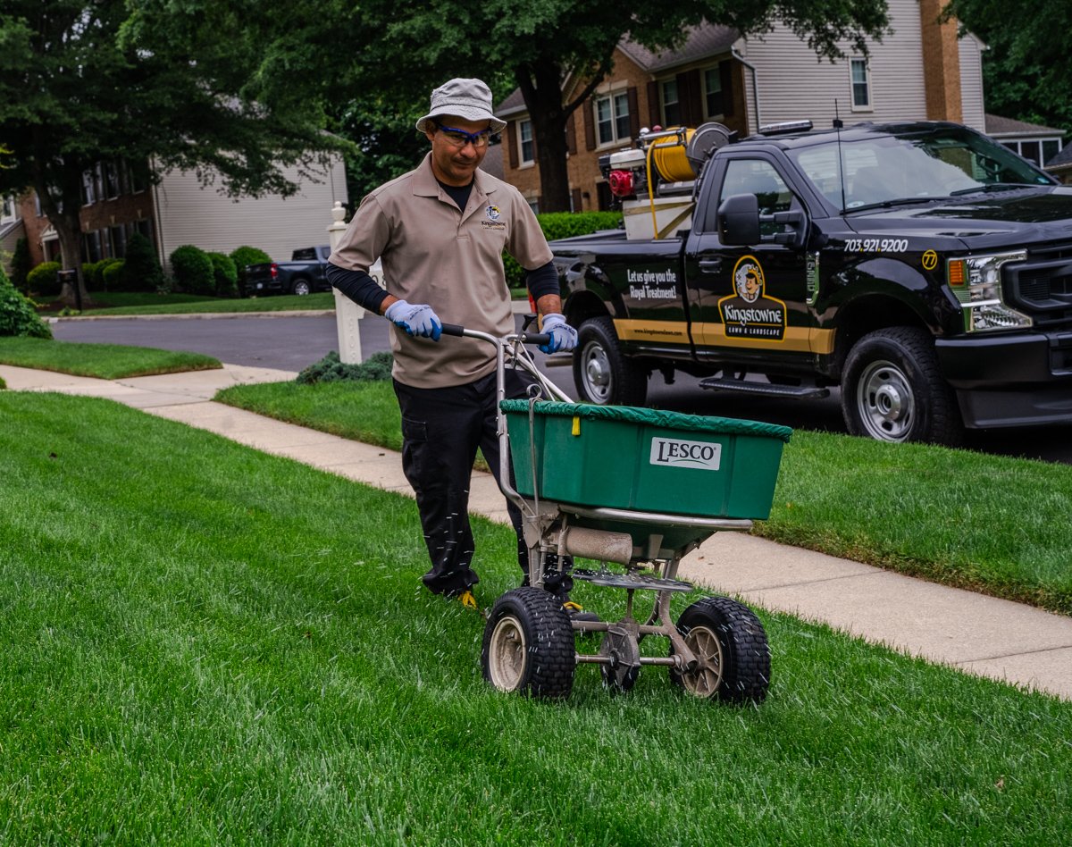 lawn care technician spreading granular fertilizer on a nice washington lawn