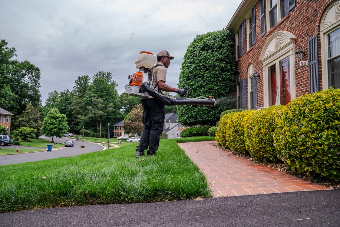 Mosquito-control-tech-backpack