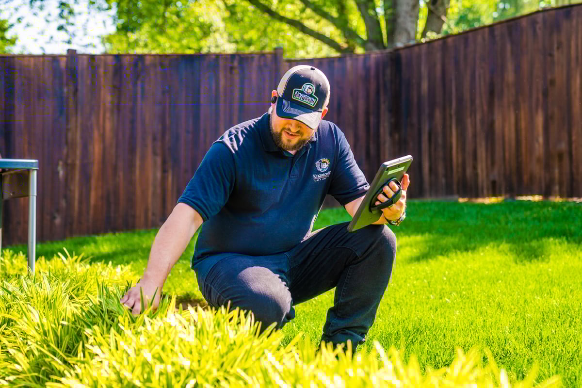 account manager inspection tablet notes 6