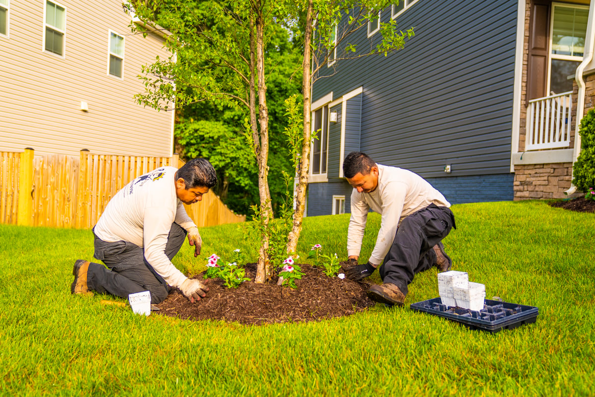 landscape team planting flowers