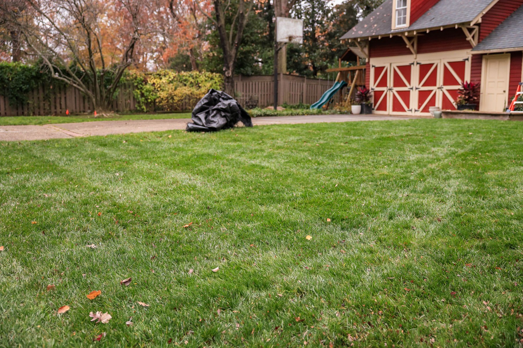 fall cleanup clean lawn leaves maintenance 2