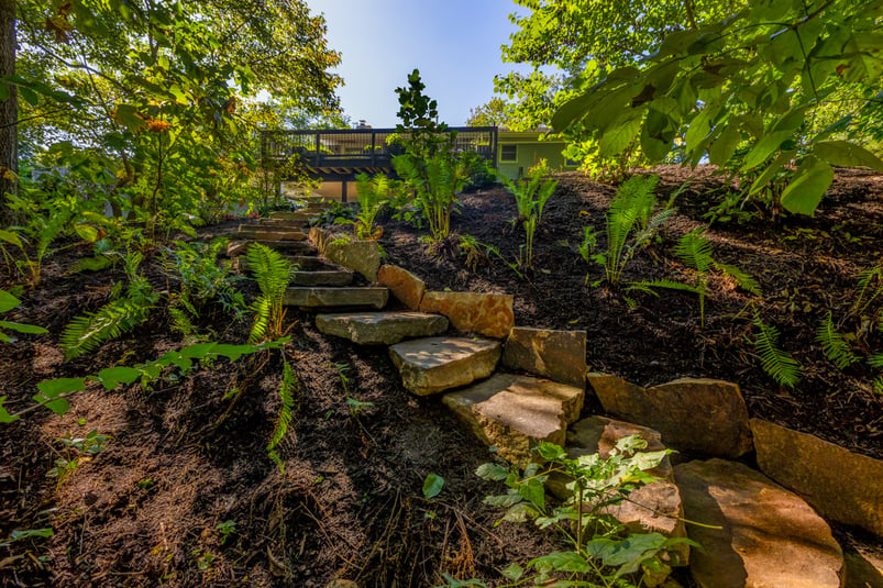 landscape design stone stairs hillside planting bed shrubs woodline shade with ferns and shade trees