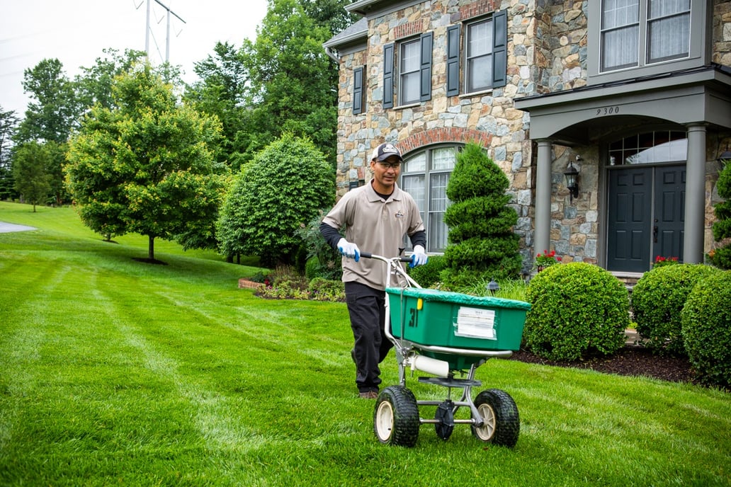 lawn care technician spreading granular fertilizer on a nice lawn