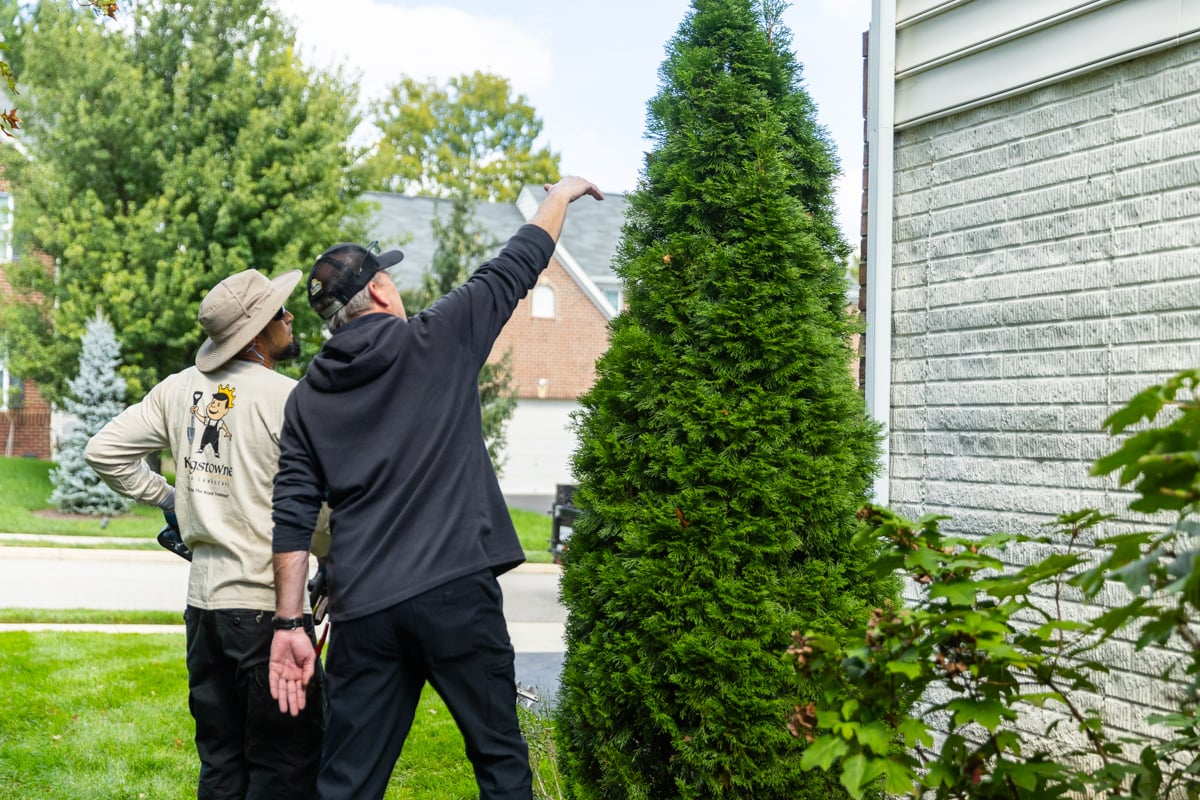 maintenance crew account manager shrub pruning trimming fall cleanup 5