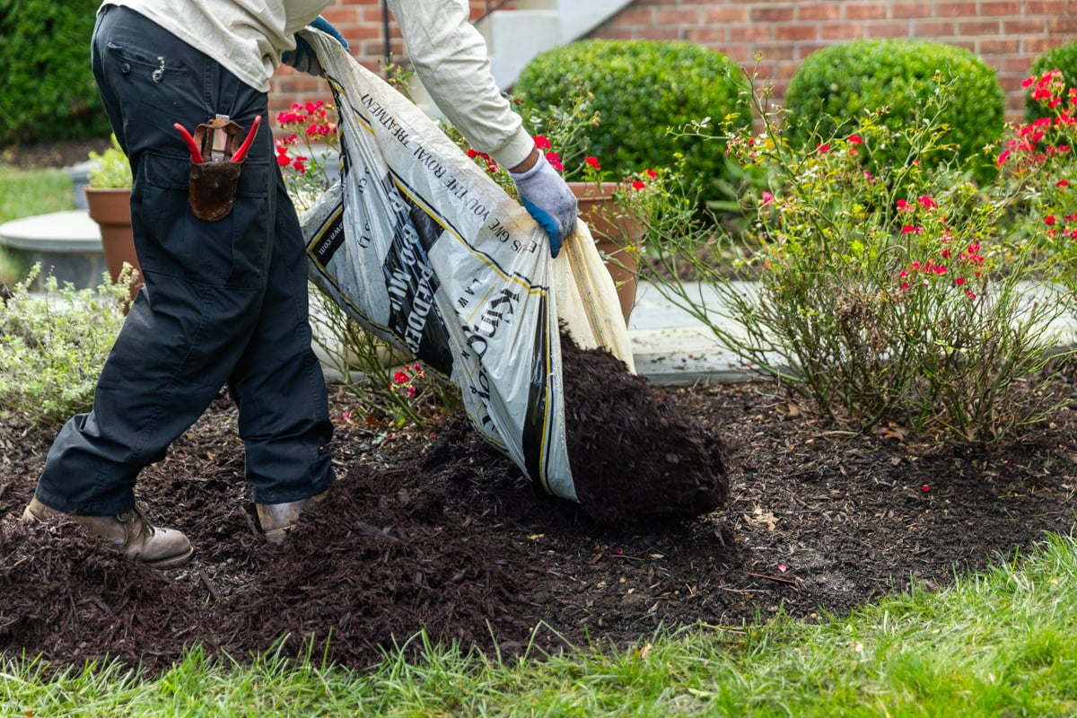maintenance crew mulch planting beds fall cleanup 6
