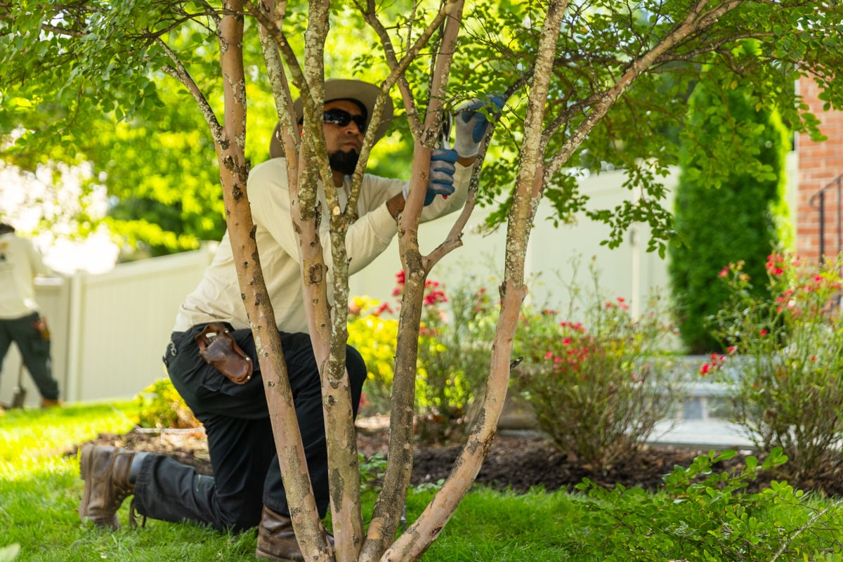maintenance crew pruning shrubs fall cleanup 2