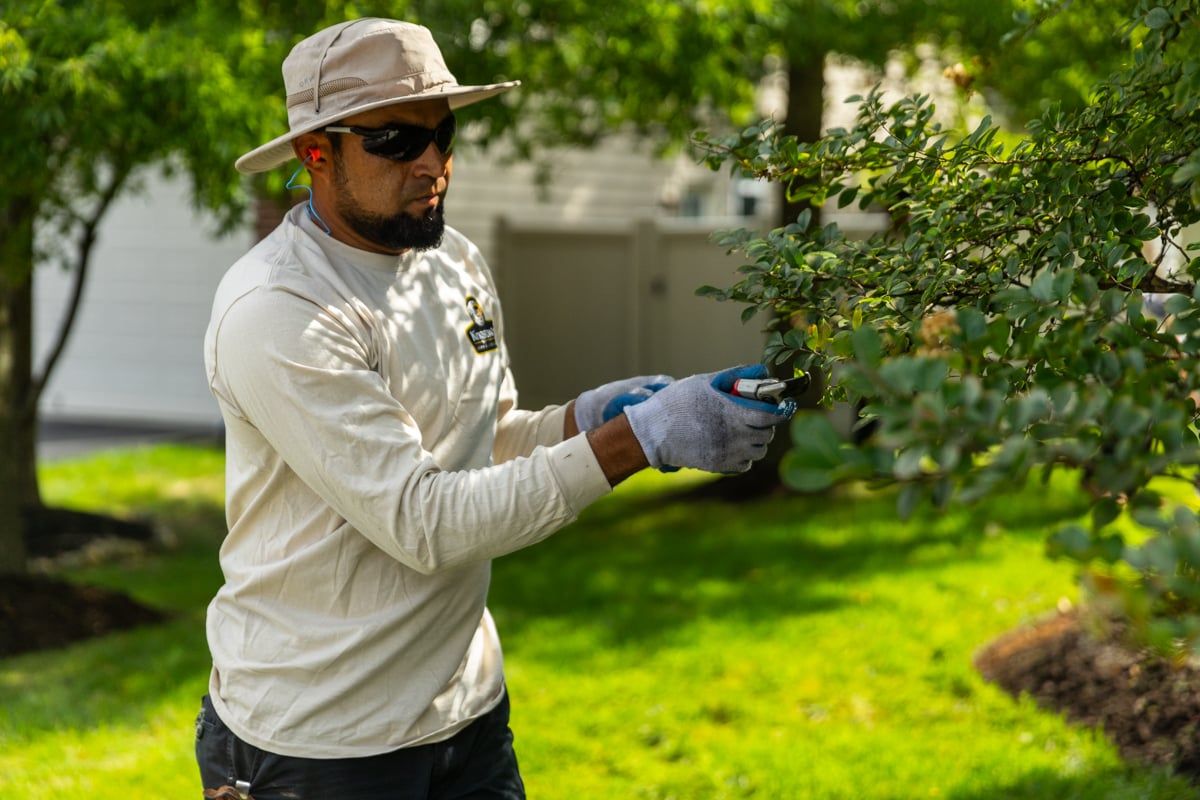 maintenance crew pruning shrubs fall cleanup 6