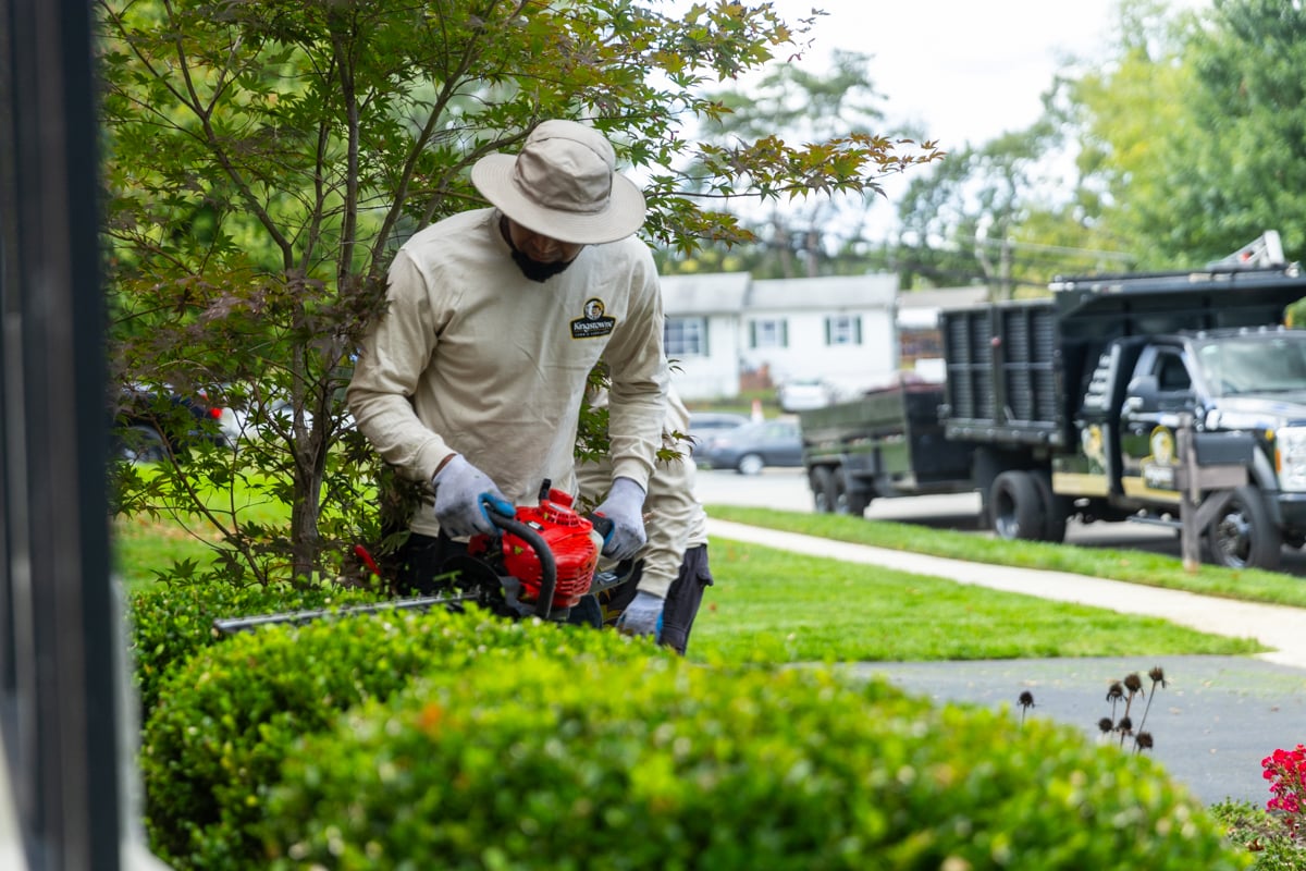maintenance crew shrub pruning trimming cleanup fall groundcover planting bed 13